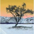 Fotografie 5, Namibia, 2009