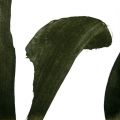 schwarz auf weis  9