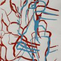 IMG 7249a
